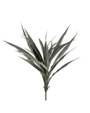 כל ענפי הצמח מתאגדים ליחידה אחת אותה תוכלו לנוץ ולמקם על איזה כלי או משטח שתרצו