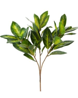 כל ענפי הצמח מתאגדים ליחידה אחת אותה תוכלו לנוץ ולמקם על איזה כלי או משטח שתרצו