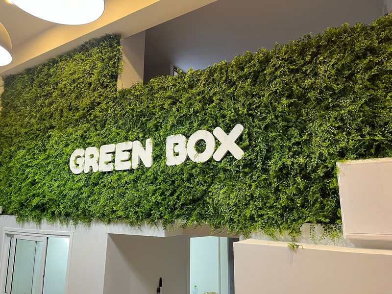 קיר ירוק מלאכותי של חברת גרין ספייס